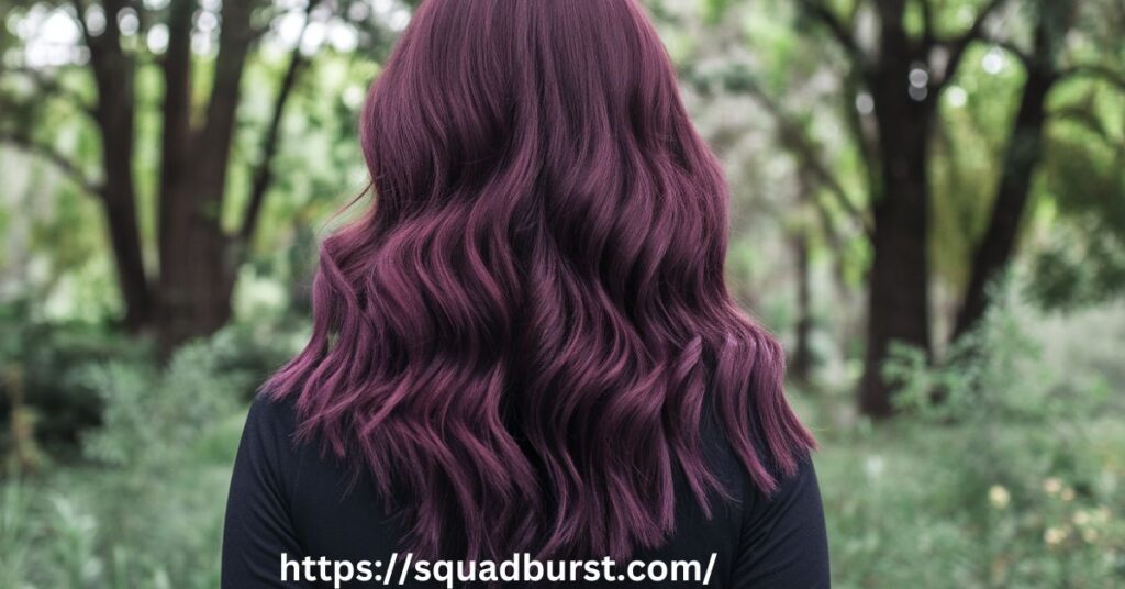 Rich Plum Ombre