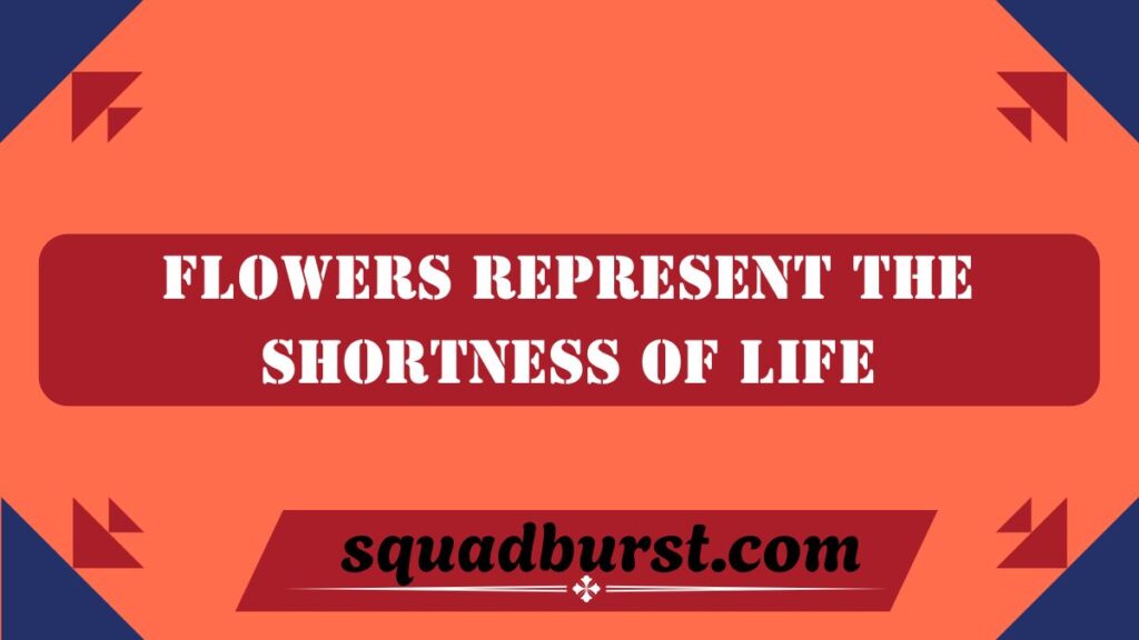 Bible Verses About Flowers: God's Beauty in Nature